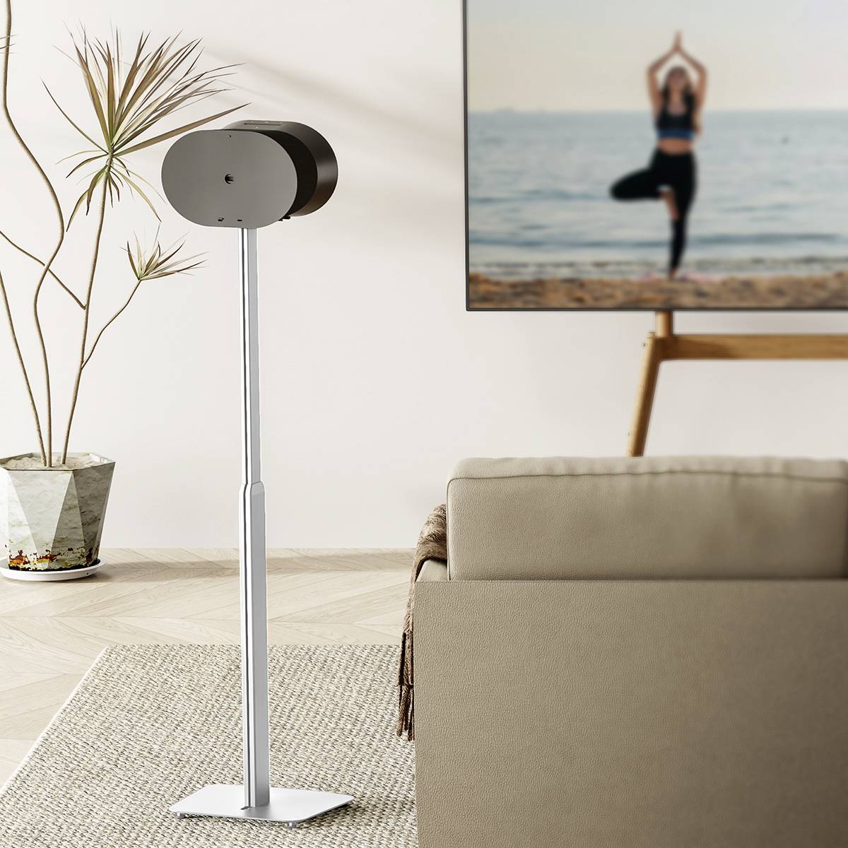 Ein Wohnzimmer mit einem modernen Lautsprechersystem und einem Fernseher, auf dem eine Person Yoga macht. Eine Pflanze steht links.