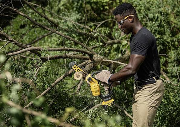 Ein Mann in Schutzbrille und Handschuhen benutzt eine Motorsäge, um Äste in einem bewaldeten Gebiet zu schneiden.