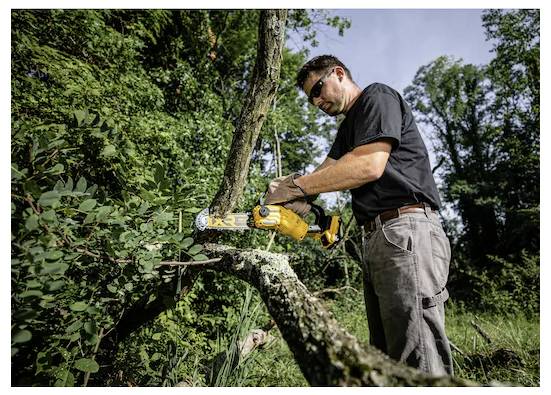 Eine Person, die mit einer Kettensäge einen großen Ast von einem Baum in einem bewaldeten Gebiet abschneidet, trägt Sonnenbrille und lässige Outdoorkleidung.