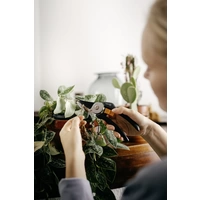 Fiskars 1057160 Solid™ P121 Gartenschere 192mm Fiskars 1057160 Solid™ P121 Gartenschere 192mm