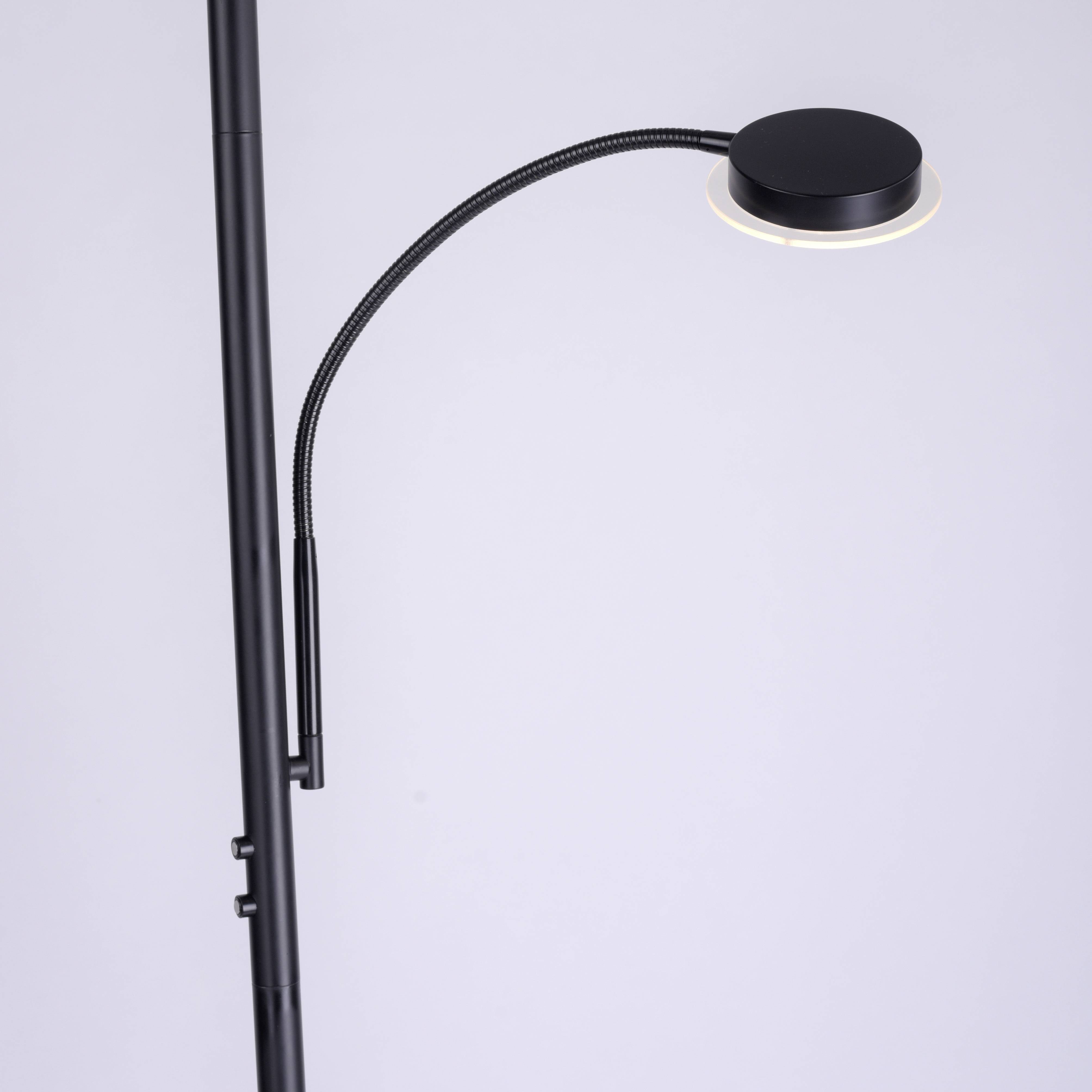 Stehlampe mit schwanenförmigem Halsdesign, schwarzes Metall, runder flacher Lampenschirm, ideal für moderne Wohnräume.