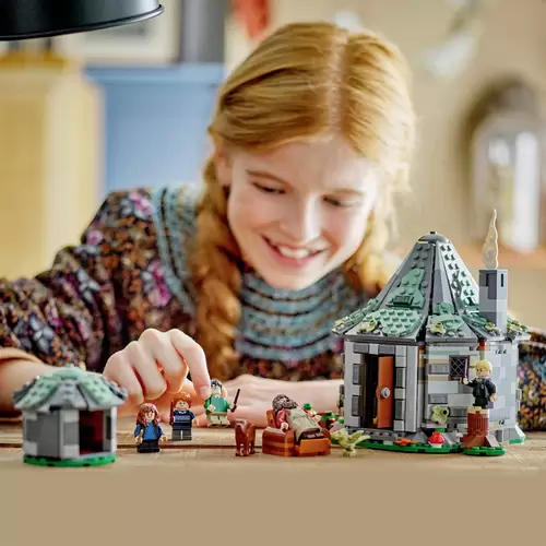 76428 LEGO® HARRY POTTER™ Hagrids Hütte: Ein unerwarteter Besuch 76428 LEGO® HARRY POTTER™ Hagrids Hütte: Ein unerwarteter Besuch