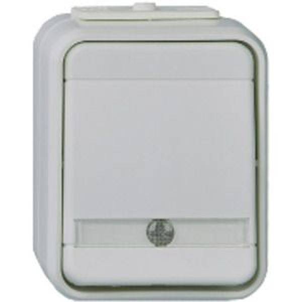 ELSO 441649 Kontrollwechselschalter 441649 10A AquaTop licht/basaltgrau 1St.