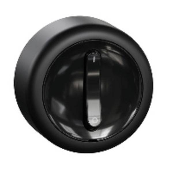 ELSO WDE015907 Ausschalter RENOVA schwarz 2p. 16A 1St.