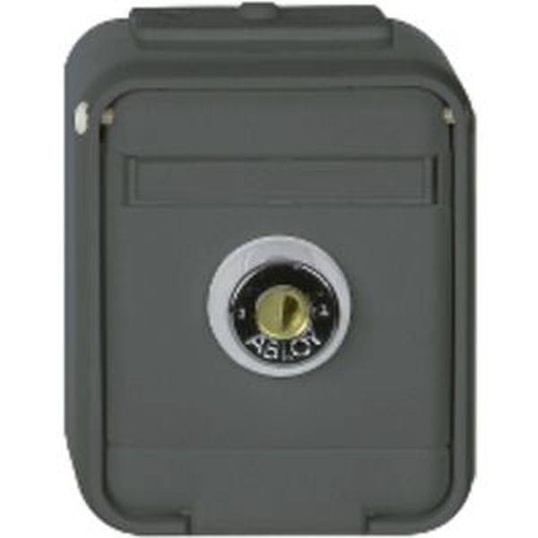 ELSO 455029 ELSO Steckdose gl abschließbar 455029 16A AquaTop licht/basaltgrau 1 St.