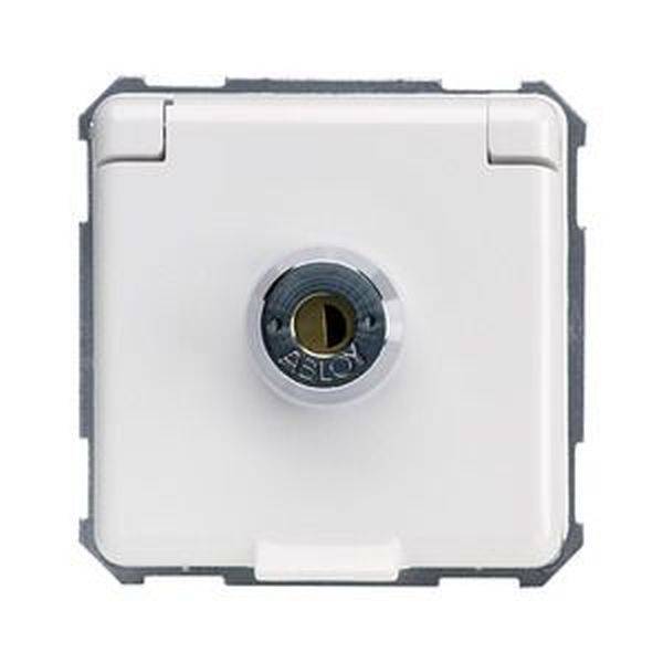 ELSO 225064 Steckdose 225064 16A verschiedene Schliessung rw 1St.