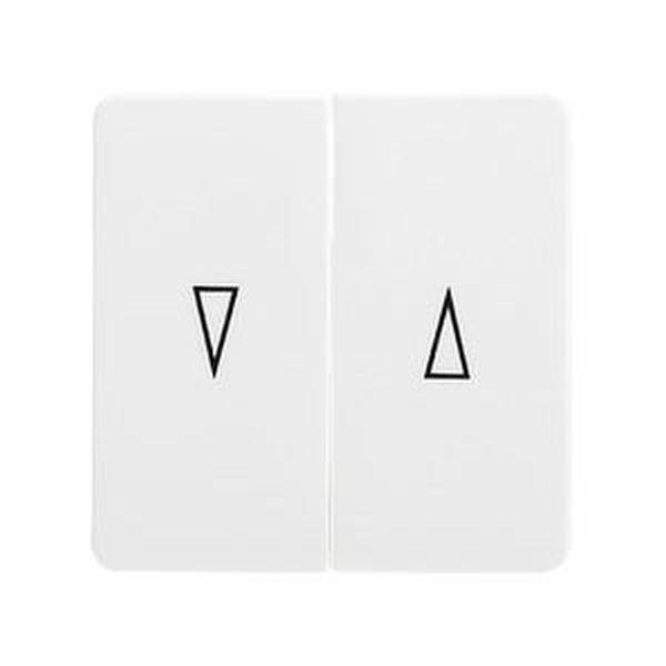 ELSO 213804 Jalousiewippe 213804 Jalousieschalter/Taster rw 1St.