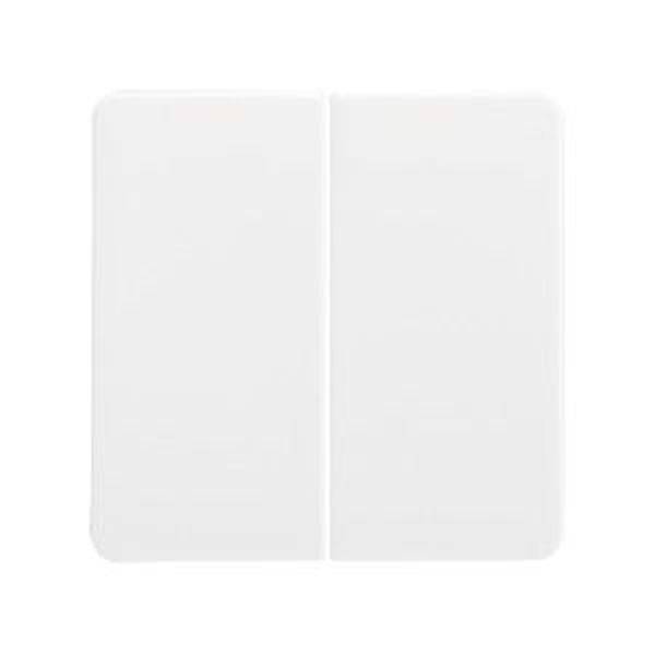 ELSO 213504 Serienwippe 213504 Serienschalter/Doppeltaster rw 1St.