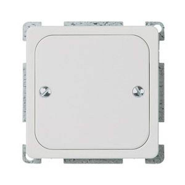 ELSO 503054 Blindabdeckung 503054 geschraubt 1f. RENOVIERUNG rw 1St.