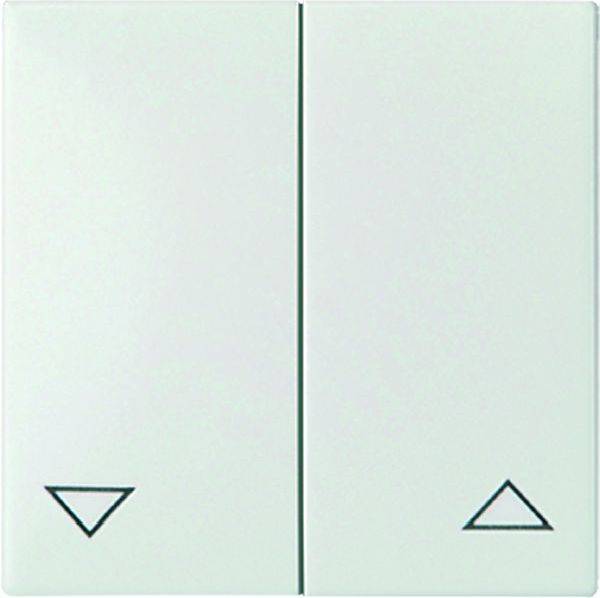 ELSO 273804 Jalousietaste-/ Schalter 273804 JOY reinweiß 1St.