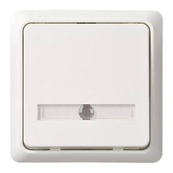 ELSO 506214 Taster 506214 42V/1A AP bel. RENOVIERUNG rw 1St.