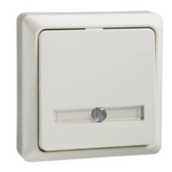 ELSO 506210 Taster 506210 42V/1A AP bel. RENOVIERUNG pw 1St.