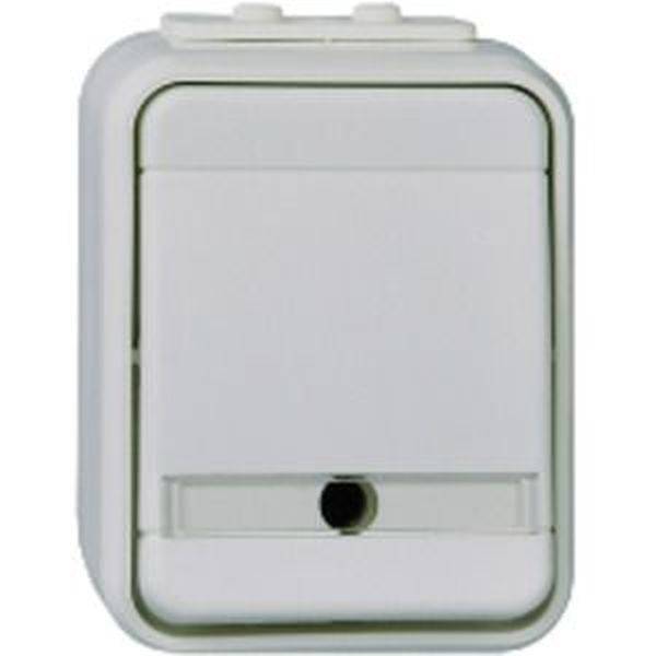 ELSO 441639 Universalschalter 441639 bel. 10A licht/basaltgrau 1St.