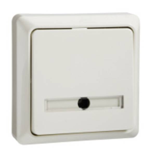 ELSO 506220 Taster 506220 42V/1A Aufputz RENOVIERUNG pw 10St.