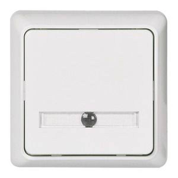 ELSO 506344 Taster 506344 Tast 42V/1A AP flach bel. rw 1St.