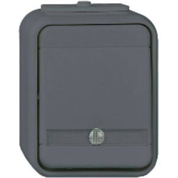 ELSO ELG442119 Taster ELG442119 bel. 10A licht/basaltgrau 1St.