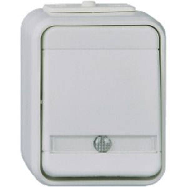 ELSO ELG442619 Taster ELG442619 bel. 10A licht/basaltgrau 1St.