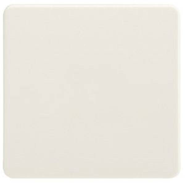 ELSO 213600 Wippe 213600 Universal-Kreuzschalter/Taster pw 1St.