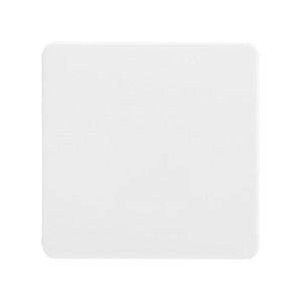 ELSO 213604 ELSO Wippe 213604 Universal-Kreuzschalter/Taster rw 1 St.