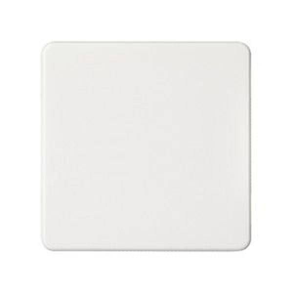 ELSO 233604 ELSO Wippe 233604 Universal-Kreuzschalter/Taster rw 1 St.