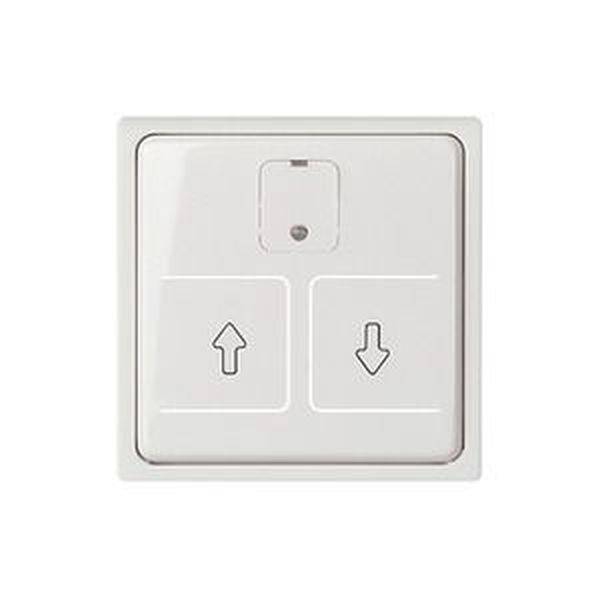 ELSO 367254 Zentralplatte 367254 elektr. Rollladenschalter JOY rw 1St.