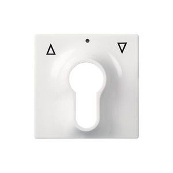 ELSO 363034 Zentralplatte 363034 Schlüsselschalter JOY reinweiß 1St.