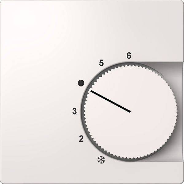 ELSO ELG227404 ELSO Zentralplatte ELG227404 für Temperaturregler reinweiß 1St.