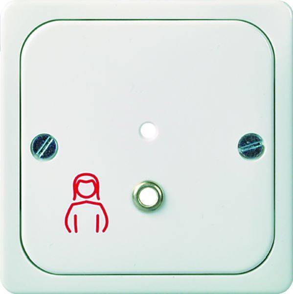 ELSO 735830 ELSO Zentralplatte 735830 Zugtaster (MEDIOPT CARE) pw 1St.