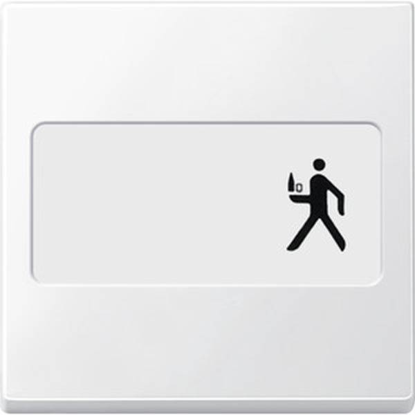 Merten Wippe 433319 1St.