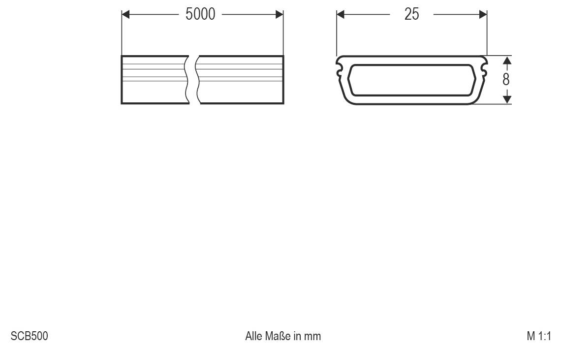 Technische Zeichnung eines Streifenprofils: 5000 mm lang, 25 mm breit und 8 mm hoch, dargestellt in Seiten- und Querschnittsansichten mit Abmessungen in Millimetern.