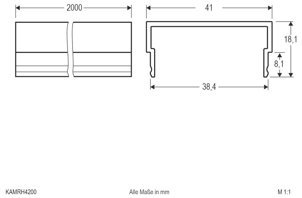 Technische Zeichnung eines Profilschnitts und verbundener Längen, gekennzeichnet mit 2000 mm, 41 mm, 38,4 mm, 18,1 mm und 8,1 mm, im Maßstab M 1:1.