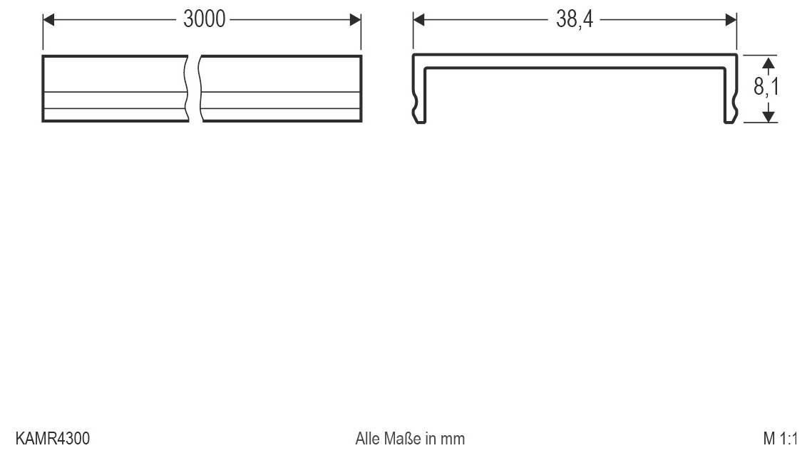 Technische Zeichnung eines geteilten horizontalen Profils mit zwei Endansichten und den Abmessungen 3000 mm, 38,4 mm und 8,1 mm; Maßstab 1:1.