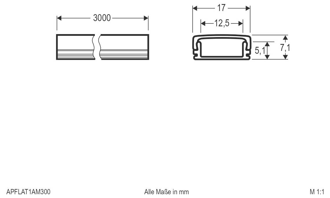EVN APFLAT1AM300 U-Profil APFLAT1AM300 1St.