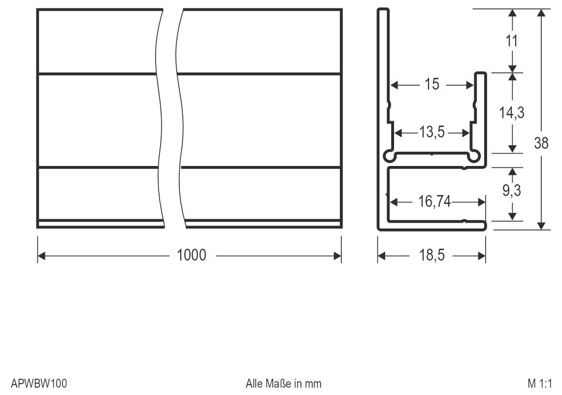 Technische Zeichnung eines Wandpaneel-Profils, zeigt Vorder- und Seitenansichten mit Abmessungen in Millimetern, einschließlich 1000 mm Breite und 38 mm Gesamthöhe.
