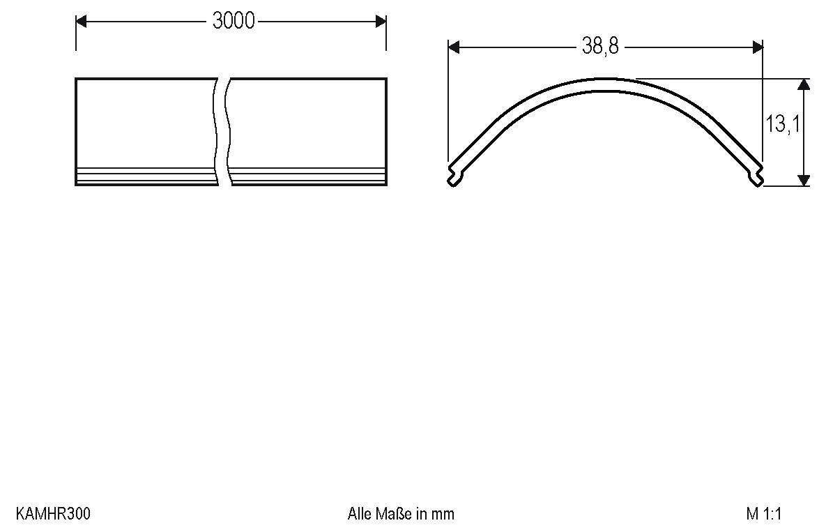 Technische Zeichnung eines gekrümmten Profilteils in zwei Ansichten, die eine Länge von 3000 mm und Querschnittabmessungen von 38,8 mm Breite mal 13,1 mm Höhe zeigt, alle Maße in mm.