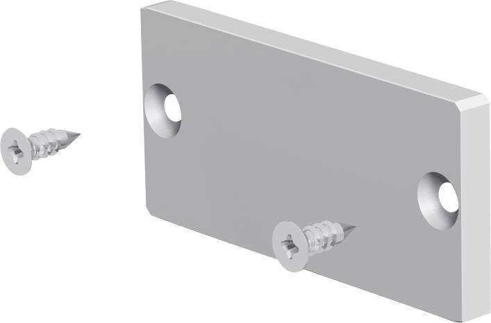 Zwei silberne Schrauben und eine rechteckige Metallplatte mit zwei kreisförmigen Löchern, auf weißem Hintergrund dargestellt.
