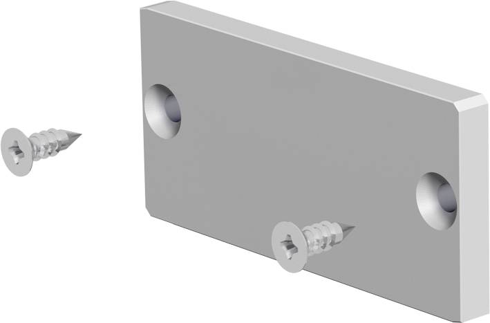Metallmontageplatte mit zwei Senklöchern und einer daneben abgebildeten Schraube, die zeigt, wie die Schraube in die Platte passt.