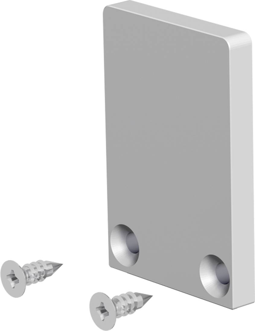 Graue rechteckige Wandplatte mit zwei Senklöchern, daneben zwei passende Schrauben gezeigt.