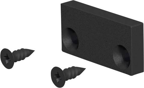 Schwarze rechteckige Montageplatte mit zwei daneben gezeigten Schrauben auf weißem Hintergrund.