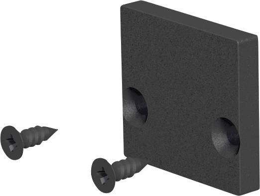 Schwarze rechteckige Montageplatte mit zwei Senklöchern und zwei separat gezeigten Schrauben auf weißem Hintergrund.