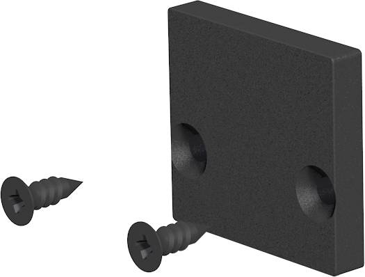 Schwarze quadratische Montageplatte mit zwei versenkten Löchern und zwei daneben abgebildeten schwarzen Schrauben.