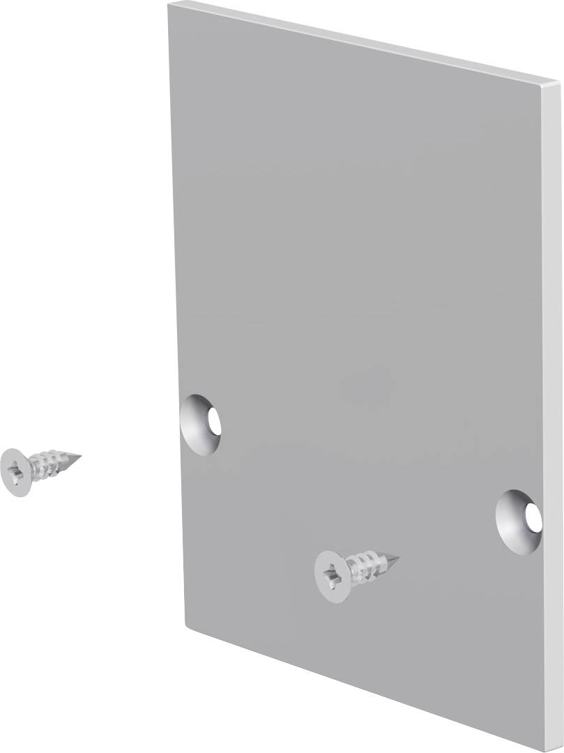 Graue Metallmontageplatte mit zwei Senkbohrungen und zwei daneben abgebildeten Schrauben