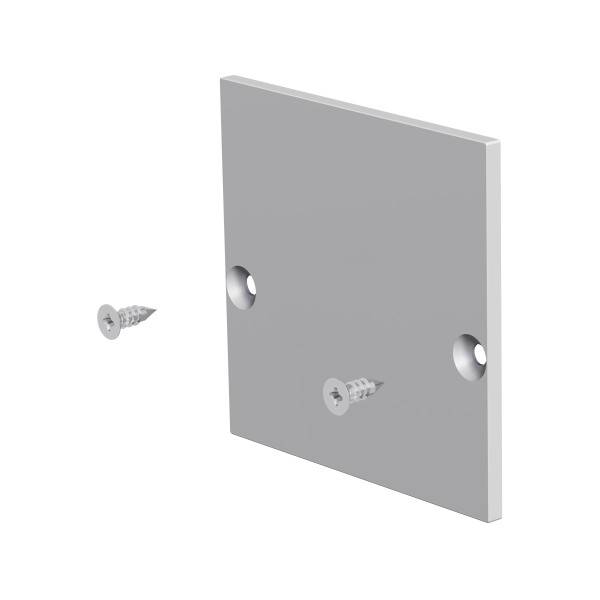 Metallplatte mit zwei Senkbohrungen, positioniert neben zwei passenden Schrauben, zur Wandmontage.