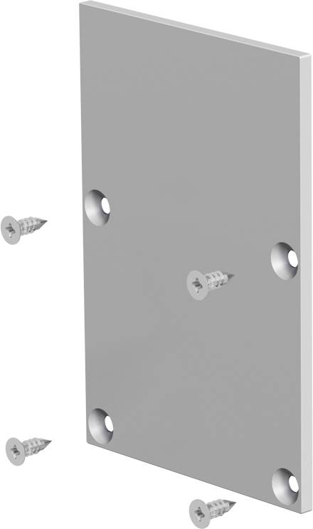 Metallmontageplatte mit vier Ecklöchern und drei Schrauben, die um sie herum dargestellt sind und zeigen, wie sie befestigt wird.