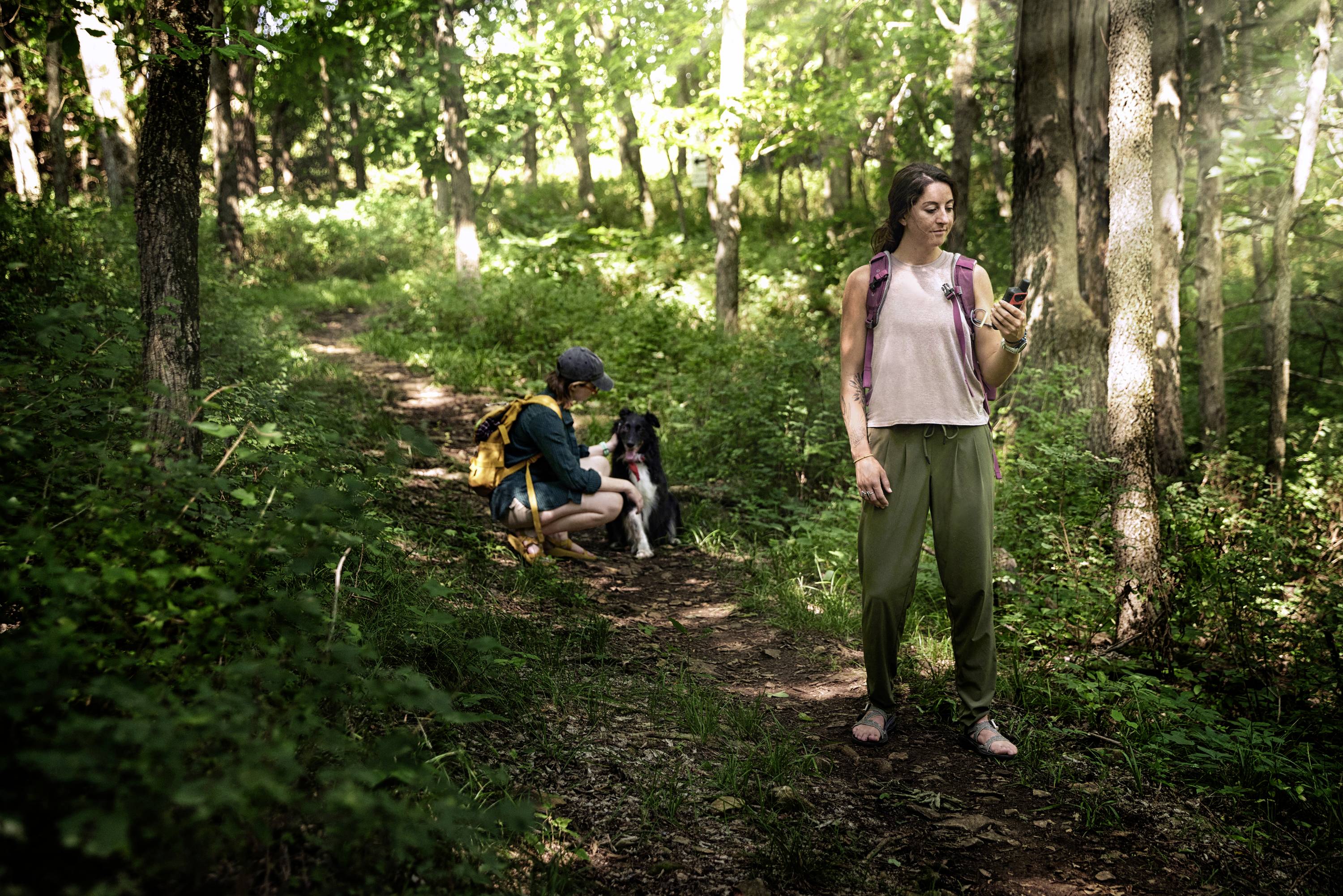 Garmin eTrex® Outdoor Navi Wandern, Geocaching GPS, GLONASS, Bluetooth®, spritzwassergeschützt