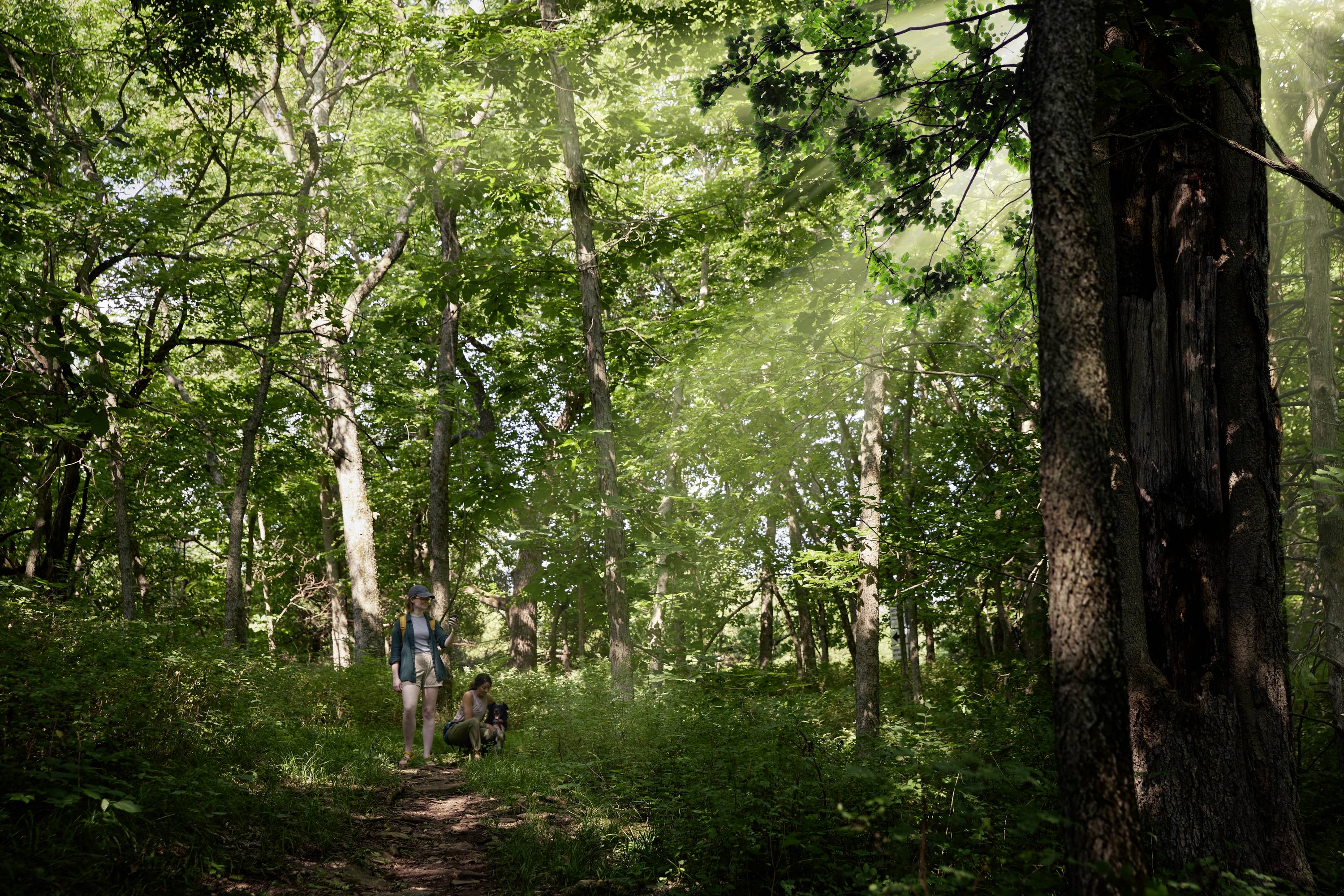 Garmin eTrex® Outdoor Navi Wandern, Geocaching GPS, GLONASS, Bluetooth®, spritzwassergeschützt