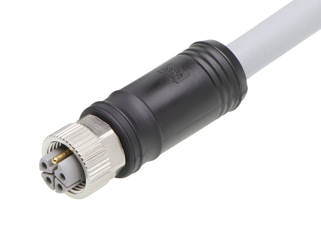 Nahaufnahme eines M12 Steckers mit drei Anschlüssen, montiert an einem grauen Kabel.