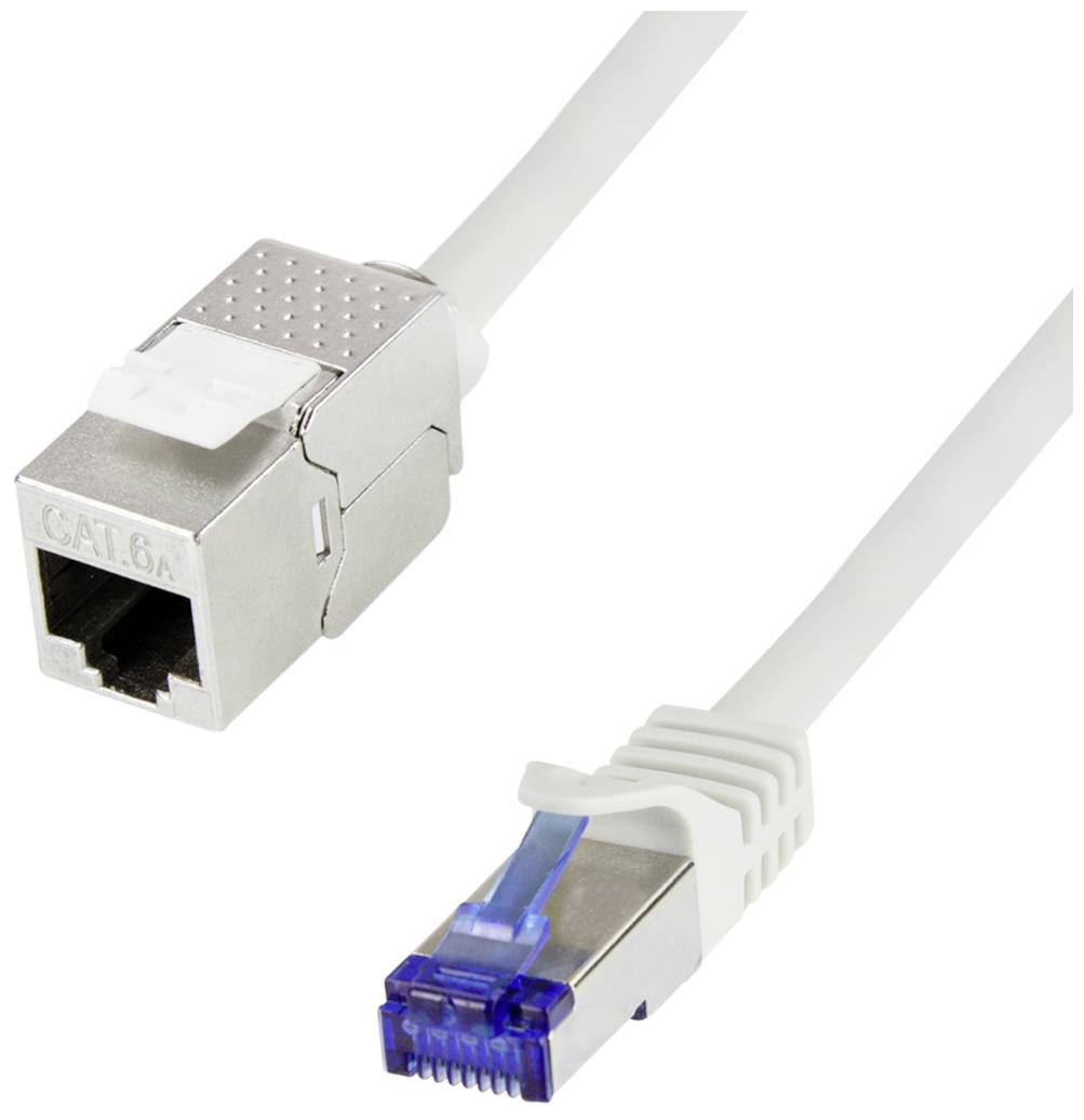 Ein Netzwerkkabel mit einem CAT 6A Stecker und einem RJ45-Stecker. Der CAT 6A-Stecker ist mit einem weißen Clip gesichert.