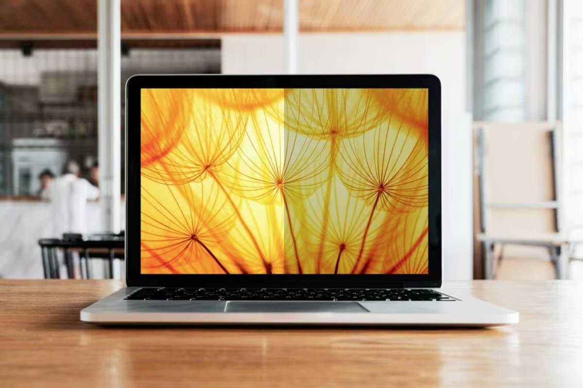 Ein Laptop auf einem Tisch zeigt ein Nahaufnahme-Bild von Pusteblumen vor einem gelben Hintergrund. Im Hintergrund ein unscharfer Raum.