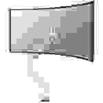 Neomounts DS70PLUS-450WH1 1fach Monitor-Tischhalterung 43,2 cm (17") - 124,5 cm (49") Weiß Neigbar